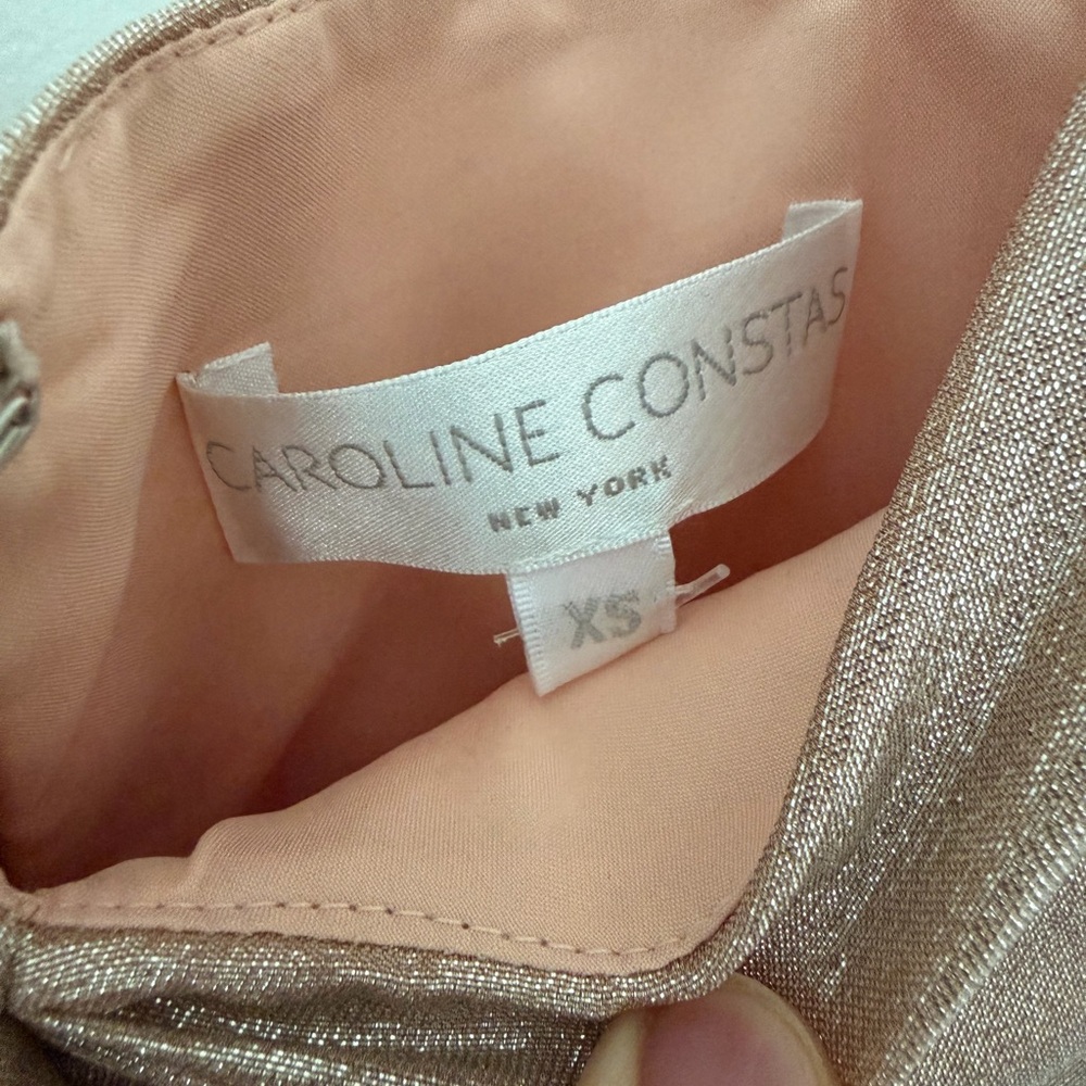 CAROLINE CONSTAS STRAPLESS BUSTIER DRESS IN ROSE GOLD - Picture 5 of 5